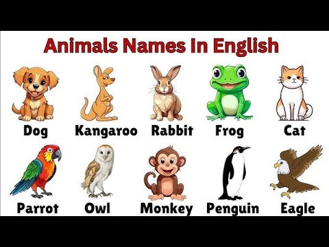 Animals || Learn Animal Vocabulary in English | Common Animals | Wild ...