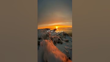 أرح سمعك 🥀القارئ: سلمان العتيبي 🍃حالات واتس آب