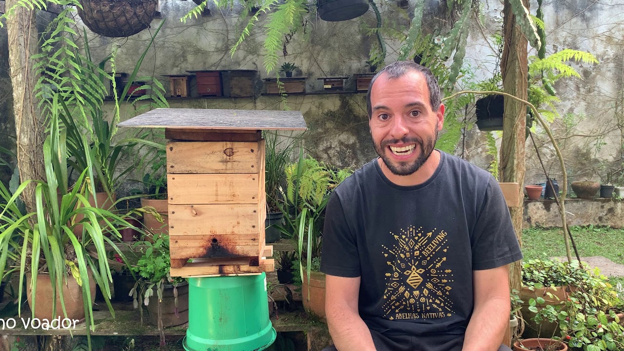 087 - Falando sobre a Abelha Arapuá com o Carlos Barrichello.