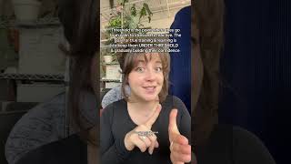 Dog trainer here 👋🏼 you can start to minimize your dogs separation anxiety with the RIGHT