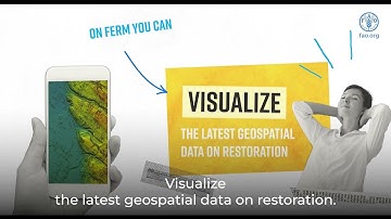 FERM: Mapping the UN Decade on Ecosystem Restoration