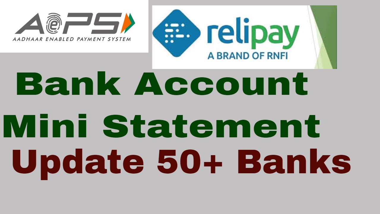 RNFI Relipay Mini Statement Update 50+ bank