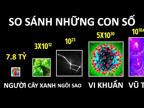 So Sánh Những Con Số Cực Lớn (Và Ý Nghĩa Của Chúng)