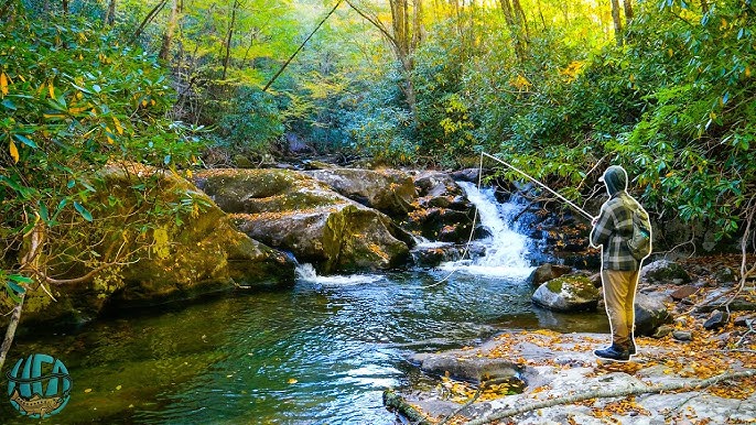 Award-Winning film - Welcome to the Mountains - Fly Fishing North Carolina  