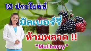 ห้ามพลาด  12 ประโยชน์ มัลเบอร์รี อร่อยดีต่อสุขภาพ | Mulbery | พี่ปลา Healthy Fish