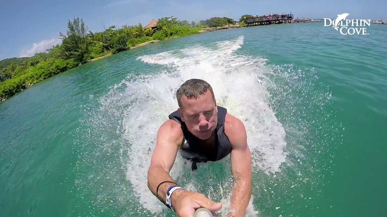 Dolphin Cove Montego Bay in Jamaica YouTube