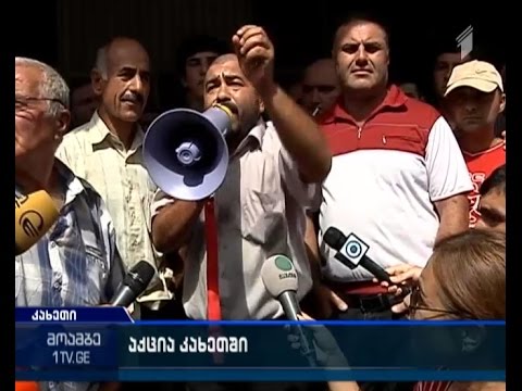 \"რთველი 2015\" კვლავ მევენახეების პროტესტის ფონზე გრძელდება