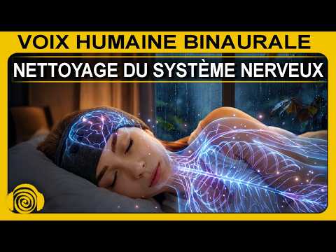 CORTISOL CLEANSE TONIGHT: 1 Night to Reset Your Nervous System