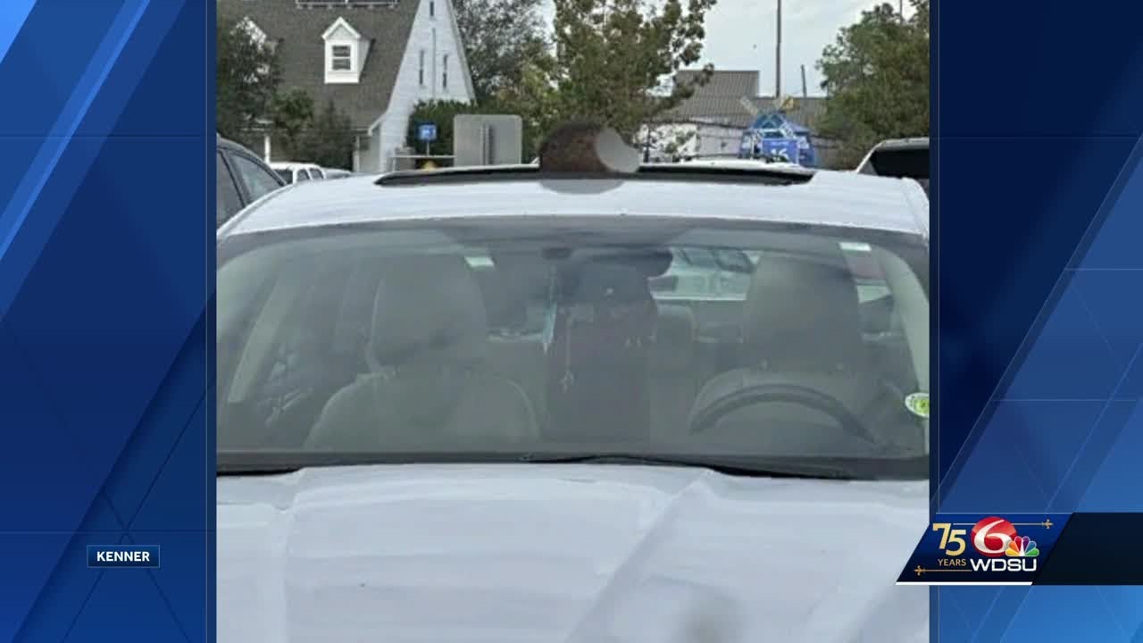 Metairie mother facing child desertion charges after leaving son in car ...