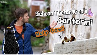 Holy Cow Sichuan Tibetan Area’s “Santorini”