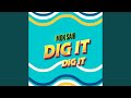Dig It Dig It 
