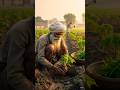 जंगल के जानवरों ने किसान का पूरा खेत बर्बाद कर दिया 😭🌱 #shorts