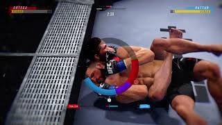 Different Submissions and transitions in UFC game