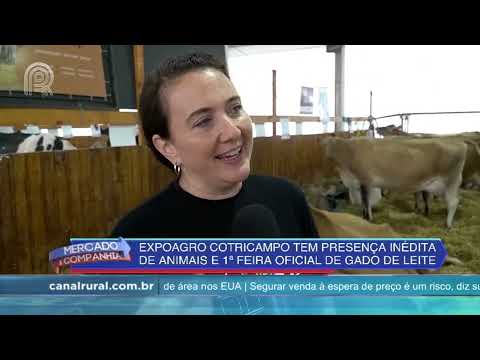 7º Edição da Expoagro Cotricampo tem presença inédita de animais e 1º feira oficial de leite