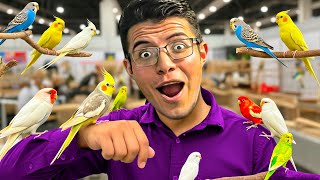 Download Lagu ¡BUSCANDO al AVE MÁS EXÓTICA y COSTOSA de la EXPO! 💰🦜 MP3 Download Lagu ¡BUSCANDO al AVE MÁS EXÓTICA y COSTOSA de la EXPO! 💰🦜 MP3