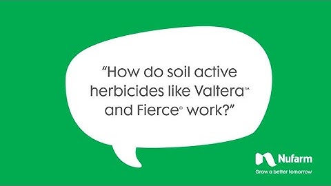 Ask A Nufarmer – How do soil active herbicides work?