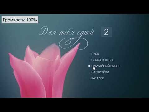 DVD Меню Мастер Караоке Для Тебя Одной Диск 2