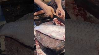 Popular Rohu Fish Cutting Skills In Bangladesh Fish Market Live