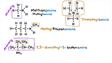 Amines and Amides