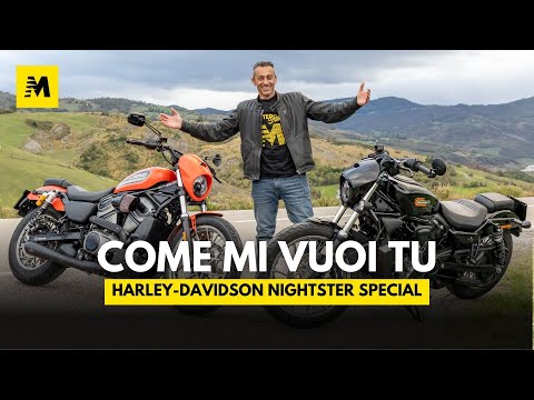 Video: Harley-Davidson entrerà nel segmento delle basse cilindrate con una moto da 338 cc, ma solo per la Cina