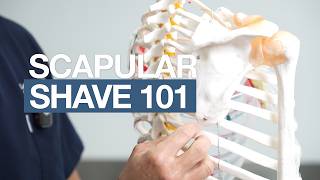 Scapular Shave 101 | Dr. Leif Rogers
