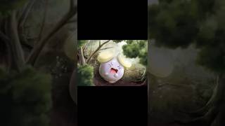 Pokdex Entry For Whismur pokemon