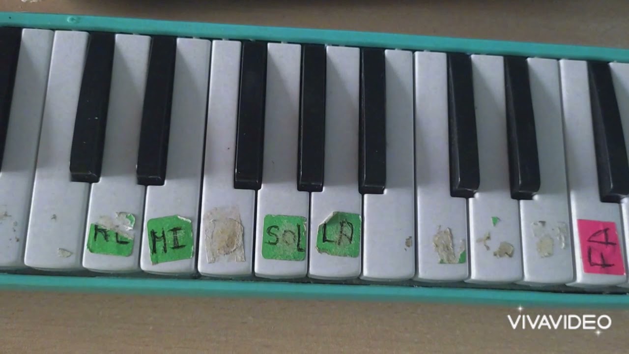 Tutorial  en melódica (Tequila)