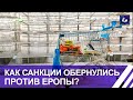 Экономические последствия санкционной войны ощущает на себе весь мир. Панорама