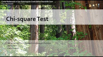 Chi-square analysis in R