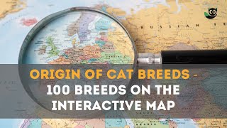 Uncover 100 Cat Breeds Origins with Our Interactive World Map - What's Your Fave? Find It on Portal by Meow Moments 28 views 1 year ago 3 minutes, 10 seconds