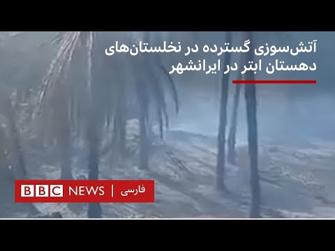 آتش سوزی گسترده در نخلستان های دهستان ابتر در ایرانشهر