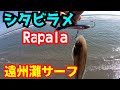 シタビラメ　遠州灘サーフ　ラパラ　スナップラップ