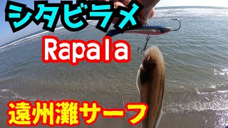 シタビラメ　遠州灘サーフ　ラパラ　スナップラップ