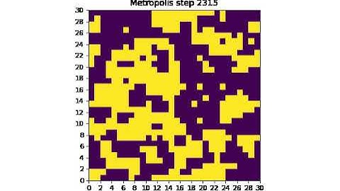 Ising model simulation using Metropolis Monte Carlo