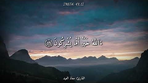 قرآن بصوت القارئ معاذ العيد حالات واتس اب 🌹