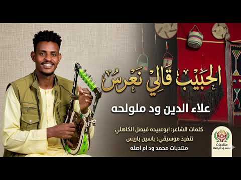 جديد 2026الفنان علاء الدين ود ملولحه الحبيب قالي
