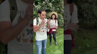 Animal Crossing New Horizons Theme On Ocarina Ft.