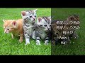 椅子💕💕丘みどり💕😂