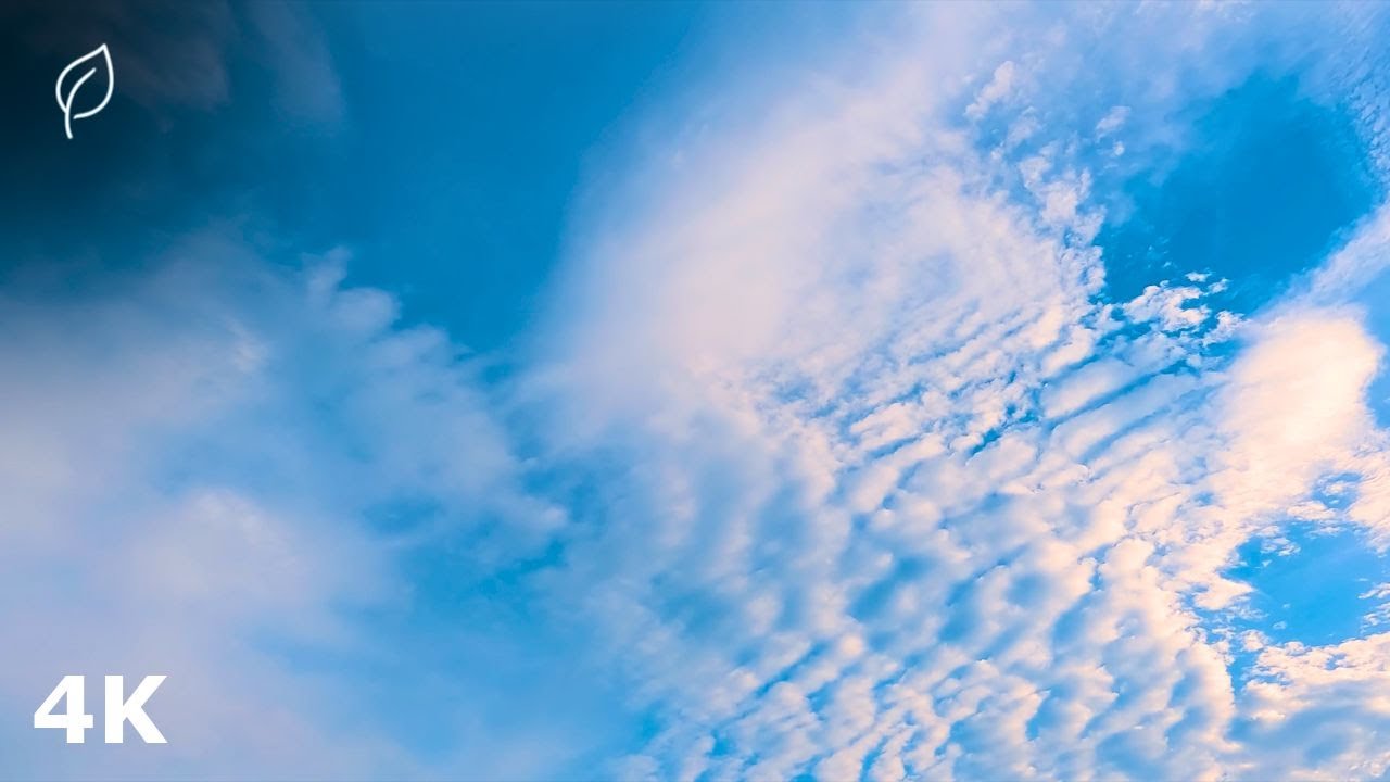 Floating | Ambient Music for Relaxation & Meditation (4K)