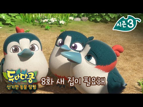 두다다쿵3 <strong>신기한</strong> <strong>동물</strong> 탐험 | 8화 본편 | 새 집이 필요해 | 큰오색딱따구리 | 이사소동 | Animation for Kids