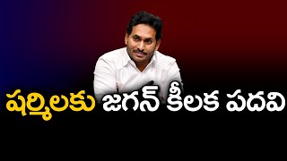 CM Jagan Key Post For Sharmila : PDTV News