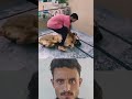 احذر الأسود فهي لا تمزح وإن زأرت أسكتت الجميع احذر الأسود فهي لا تمزح وإن زأرت أسكتت الجميع