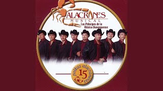 Esos Altos de Jalisco