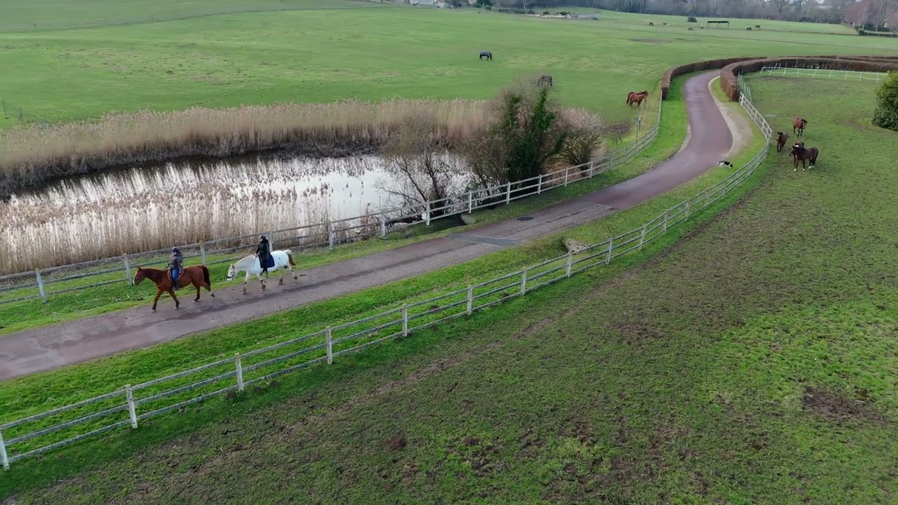 Les chevaux de MONFORT