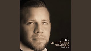 Video thumbnail of "Mordechai Shapiro - V'al Kulam"