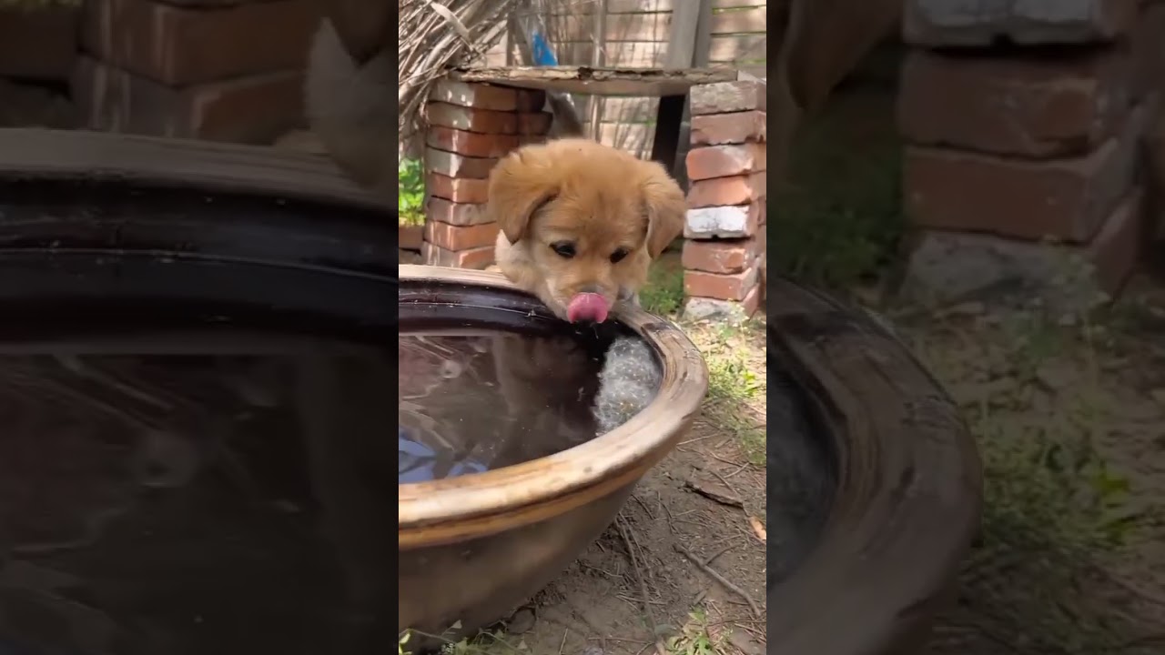 First time at the park! 🌳 