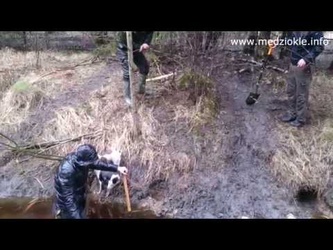 Video: Gamta Ir Mes. Lobių Medžioklės Augalai - Alternatyvus Vaizdas