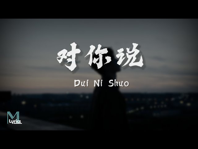 Li Ao (Li敖) - Dui Ni Shuo (对你说) Lyrics 歌词 Pinyin/English Translation (動態歌詞) class=