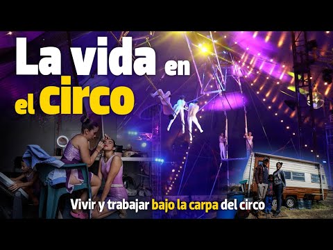 Video: Circo de Sochi: historia y realidades modernas