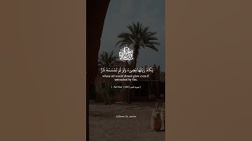 اللَّهُ نُورُ السَّمَاوَاتِ وَالْأَرْضِ | سورة النور An Nour | سعد الغامدي